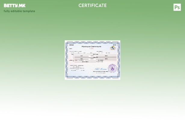 Модерен стил Франција венчаница Шаблон Word и PDF шаблон